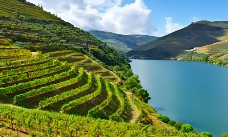 Douro Valley Porto